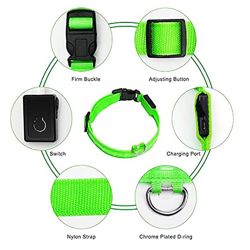 Glowing LED Dog Collar Adjustable & Rechargeable - All Pet Sizes