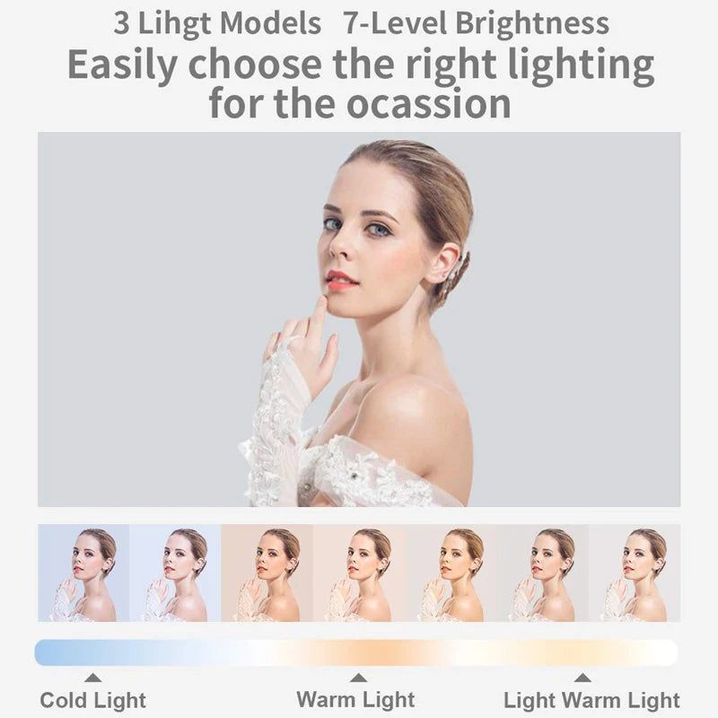 Multifunctional live-stream Phone holder & light