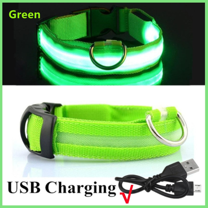 Glowing LED Dog Collar Adjustable & Rechargeable - All Pet Sizes
