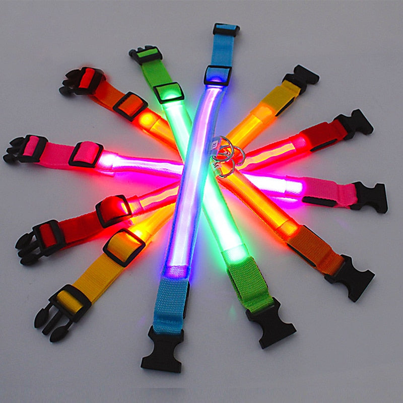 Glowing LED Dog Collar Adjustable & Rechargeable - All Pet Sizes