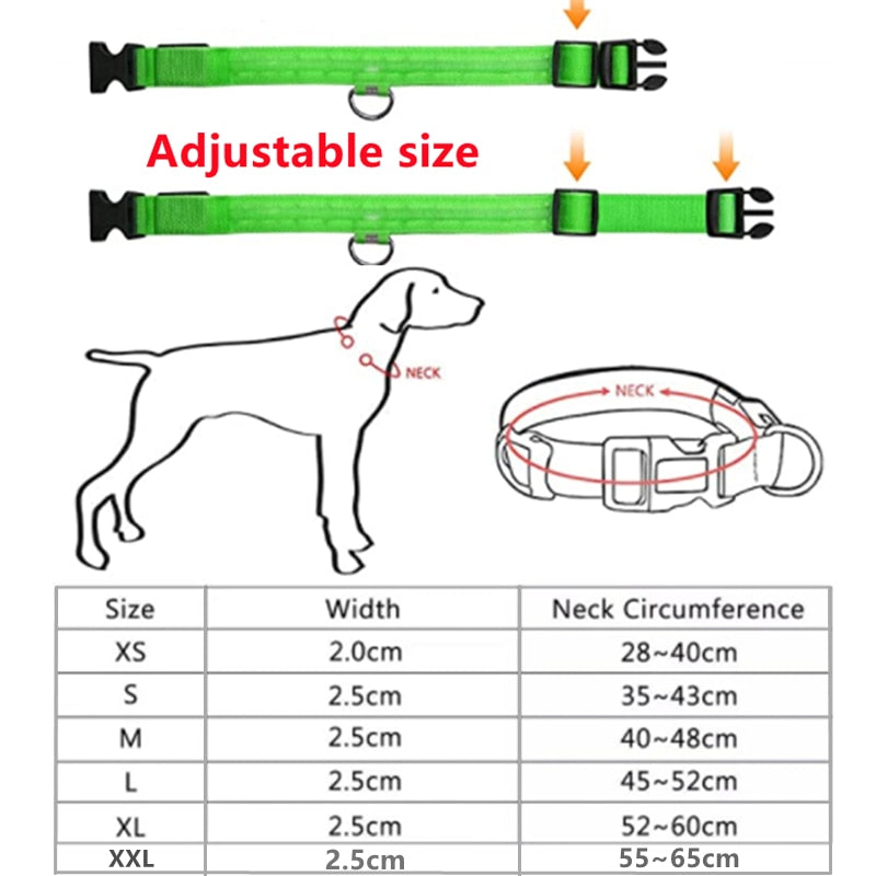 Glowing LED Dog Collar Adjustable & Rechargeable - All Pet Sizes