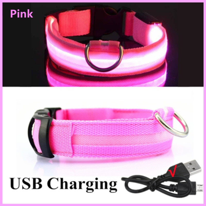 Glowing LED Dog Collar Adjustable & Rechargeable - All Pet Sizes
